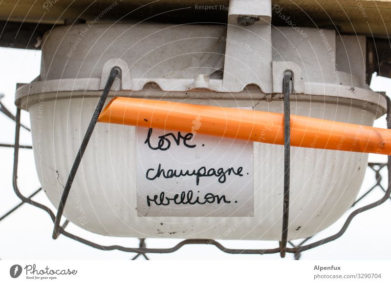 love.champagne.rebellion. | geschriebenes Kabel Energiewirtschaft Zettel Zeichen Schriftzeichen Graffiti leuchten rebellisch Liebe Champagner rebellieren Rebell