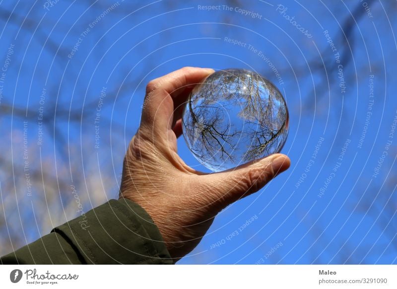 Bäume und blauer Himmel durch eine transparente Glaskugel Ball schön Wald durchsichtig Transparente Reflexion & Spiegelung Hintergrundbild hell Kristalle Licht