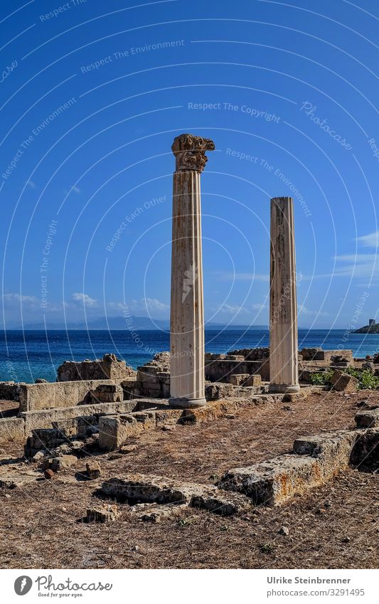 Romanische Säulen in den Ruinen von Tharros, Sardinien römisch dorisch Ausgrabung Steinmetzarbeit Altertum Geschichte historisch Archäologie Tempel Tempelanlage