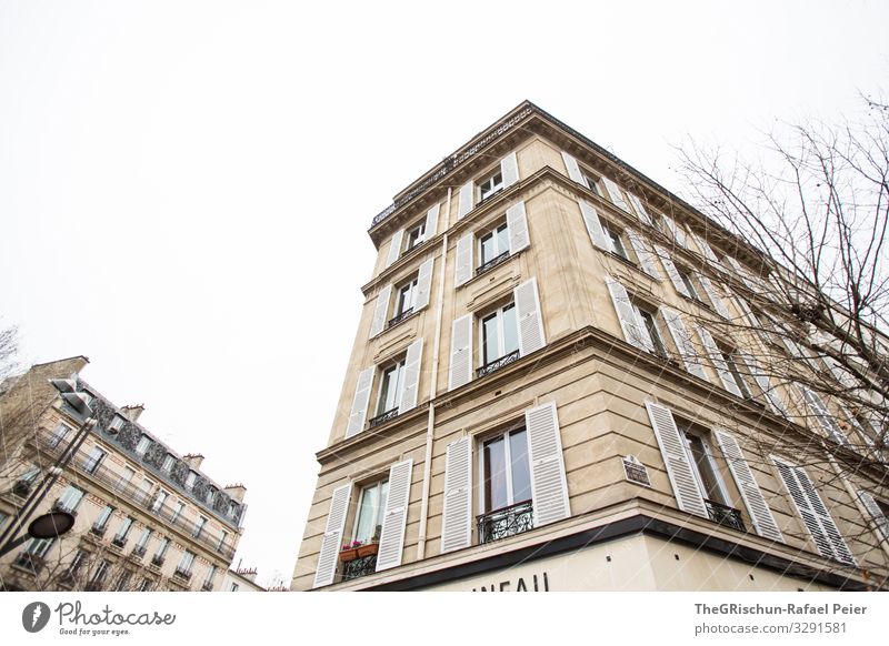Haus Stadt Hauptstadt braun weiß Paris Architektur Bauwerk Fenster Baum Frankreich Farbfoto Textfreiraum oben Tag Licht