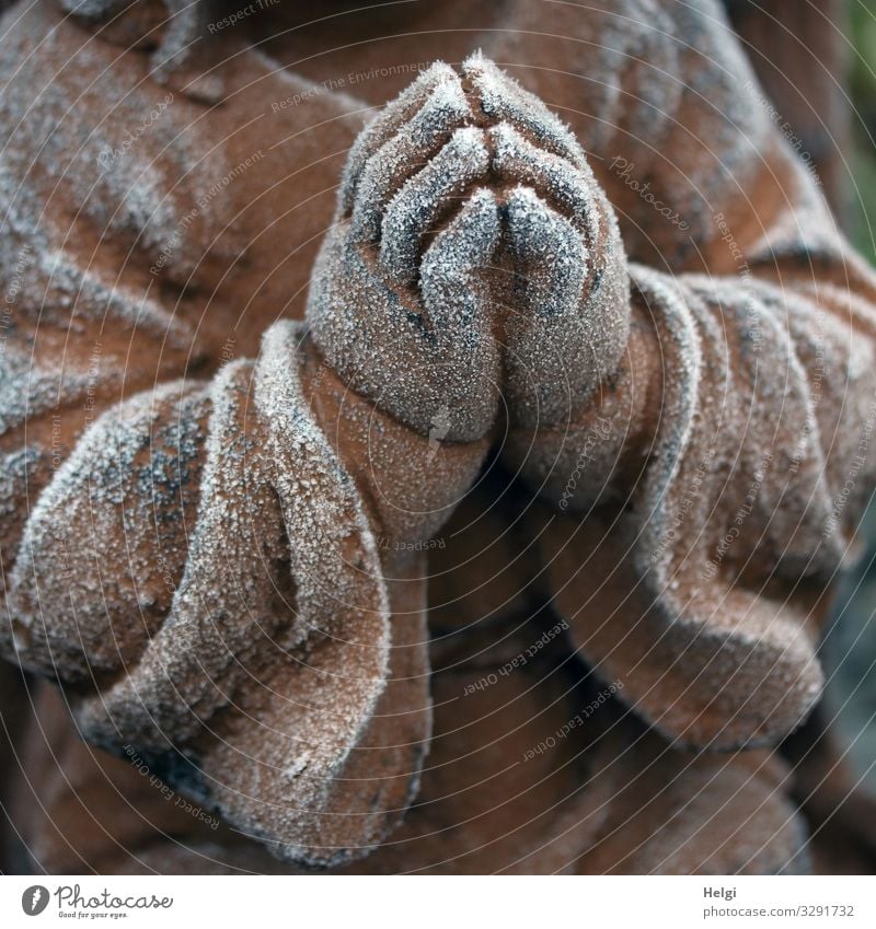 Betende Hände eines Engels mit Raureif bedeckt Winter Eis Frost Hand Stein Zeichen frieren ästhetisch außergewöhnlich einzigartig kalt braun weiß Gefühle
