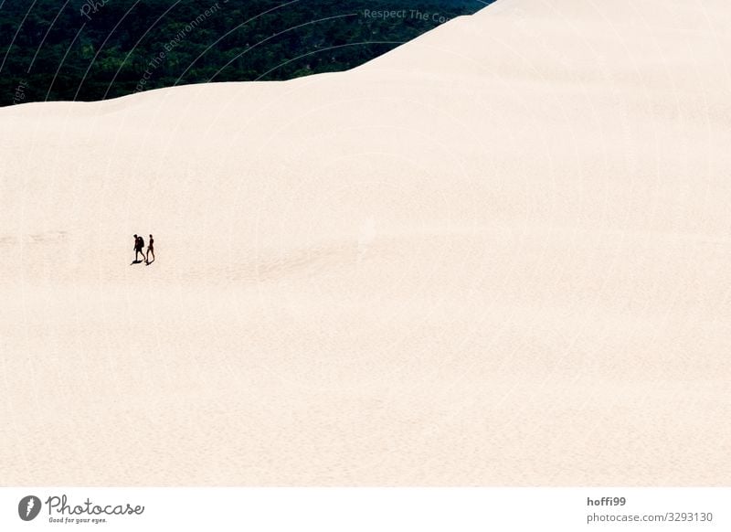 zwei Menschen wandern durch die Sanddüne 'Dune du Pilat' Tourismus Ausflug Abenteuer Expedition Sommer Sonne Berge u. Gebirge Partner 2 Schönes Wetter Wärme