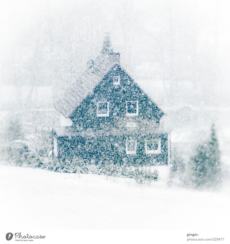 Bitte, keinen Schnee! (Haus im Schneegestöber) Umwelt Winter Wetter Schneefall fallen eng Schneeflocke Fenster kalt weiß durcheinander viele Unendlichkeit Dach