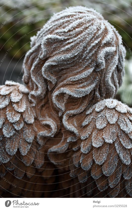 Rückansicht eines Engels mit Raureif an Haaren und Flügeln Winter Eis Frost Dekoration & Verzierung Haare & Frisuren Zeichen frieren stehen außergewöhnlich