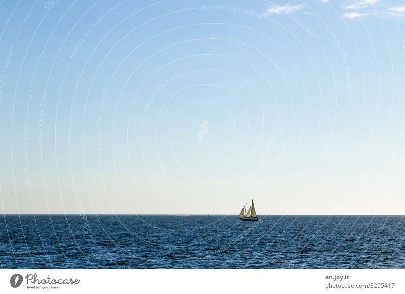 Hinter dem Horizont Freizeit & Hobby Segeln Wassersport Natur Landschaft Wolkenloser Himmel Sommer Schönes Wetter Meer Florida Bootsfahrt Segelschiff Ferne