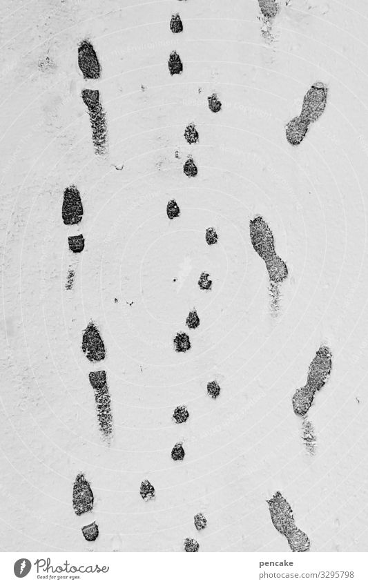 eiszeit | gassi gehen Natur Urelemente Winter Wetter Eis Frost Schnee authentisch kalt Fußspur Hund Mensch Spaziergang Wege & Pfade Schwarzweißfoto