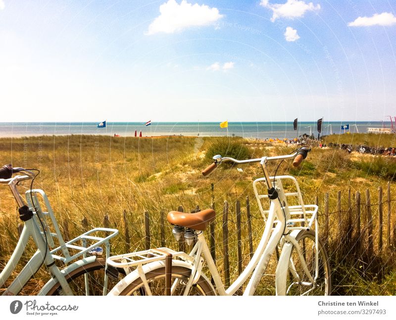 Blick auf die holländische Nordsee, im Vordergrund zwei Fahrräder und Dünen mit vertrocknetem Gras Sommer Dünengras Noordwijk Strand Niederlande Fahrradtour