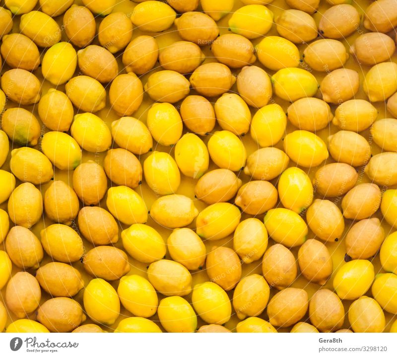Fruchtmuster reife gelbe Zitronen natürlich saftig Hintergrund Zitrusfrüchte Lebensmittel Ernte Gesundheit zitronenfarbener Hintergrund Zitronenmuster viele
