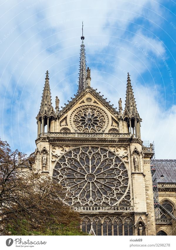 Blick auf die Kathedrale Notre-Dame in Paris, Frankreich Erholung Ferien & Urlaub & Reisen Tourismus Städtereise Haus Wolken Herbst Baum Stadt Hauptstadt