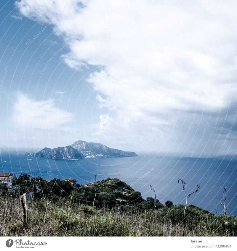 Ach, Italien! Capri Insel mediterran Sommer Sommerurlaub Meer Küste Ferien & Urlaub & Reisen Tourismus blau Tag Menschenleer Ferne Freiheit Erholung Himmel