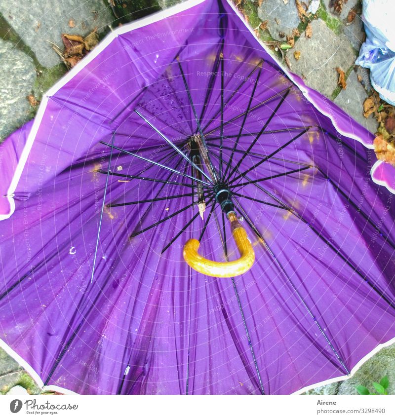 bei Wind und Regen schlechtes Wetter Sturm Regenschirm Schirm kaputt alt nass violett Ärger Frustration Desaster Missgeschick Zerstörung sinnlos unbrauchbar