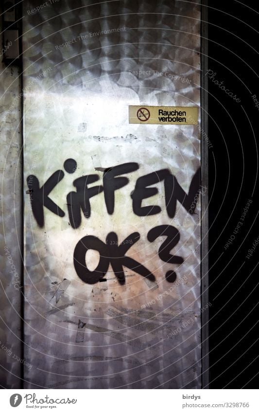Kiffen ok ? Schrift auf einer Kühlraumtür kiffen Cannabiskonsum frech Rauschmittel Tür Cannabislegalisierung Graffiti Zeichen Metall Schriftzeichen Rauchen