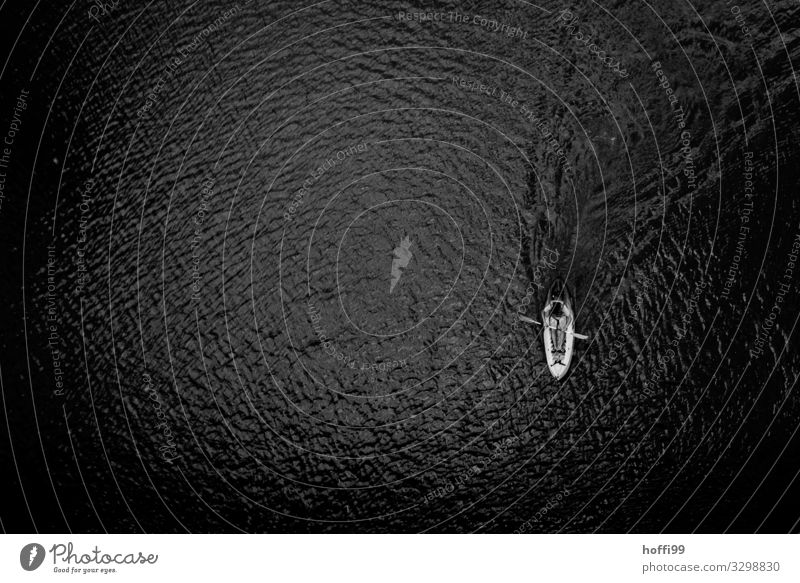 minimalistische Perspektive auf einen Kajak Einer von oben Rudern Ausflug Abenteuer Bootsfahrt Wassersport Erwachsene 1 Mensch Fluss Ruderboot Bewegung fahren