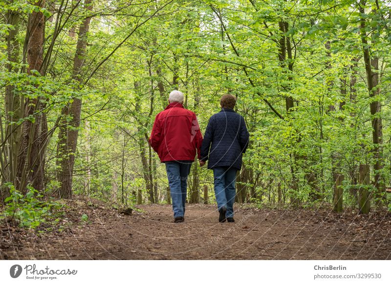 Spaziergang durch den Frühlingswald Mensch Weiblicher Senior Frau Männlicher Senior Mann Großeltern Paar Leben 2 60 und älter Natur Landschaft Baum Wald