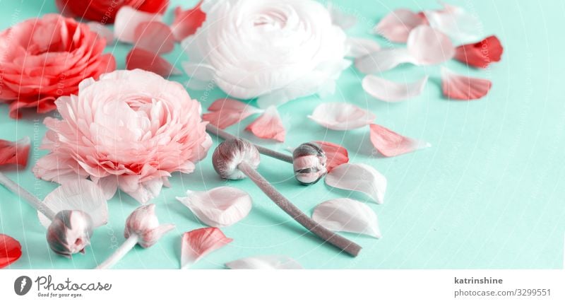 Blumen auf hellgrünem Hintergrund Design Dekoration & Verzierung Hochzeit Frau Erwachsene Mutter Rose rosa Kreativität romantisch zartes Grün hellrosa
