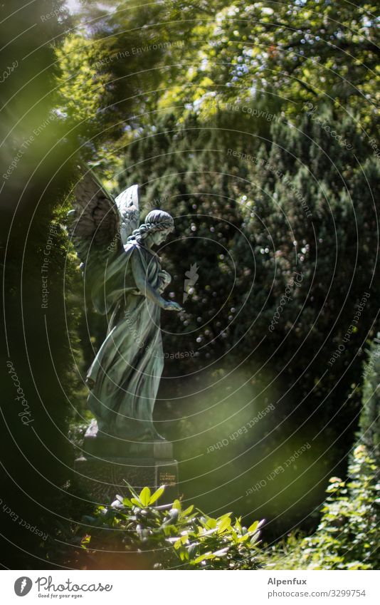 Engel-Stalker Skulptur Pflanze Schönes Wetter Garten Park Blick stehen grün Vertrauen Güte trösten geduldig ruhig Glaube Traurigkeit Trauer Tod entdecken