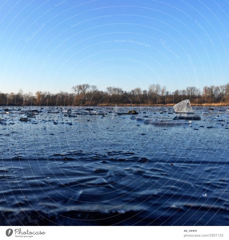 Kalter See Eis Wasser Frost Winter Außenaufnahme gefroren kalt Natur Menschenleer Farbfoto Umwelt Tag Strukturen & Formen Seeufer Himmel Oberfläche Eisfläche