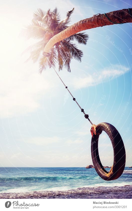 Palme mit Reifenschaukel gegen die Sonne. Freude Ferien & Urlaub & Reisen Freiheit Sommer Sommerurlaub Strand Meer Insel Himmel Baum Küste Lebensfreude