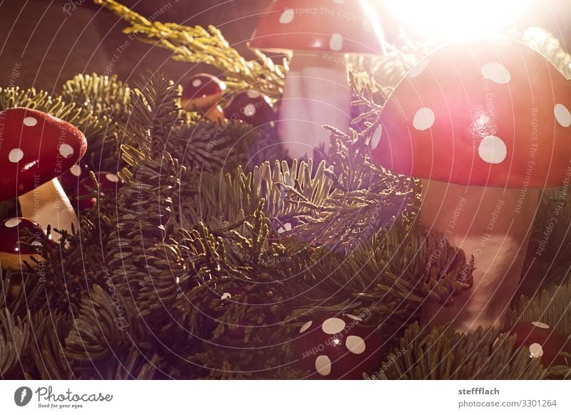 Adventskranz mit Fliegenpilzen Winter einrichten Dekoration & Verzierung Weihnachten & Advent Baum Tanne Fichte Kiefer Tannenzweig Holz Duft Klischee grün rot