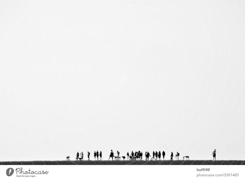 flimmernde Menschenmenge in der Ferne bei Ebbe im Wattenmeer wandern Ausflug Strand Meer Wattwandern Landschaft Schönes Wetter Küste Nordsee Wüste Bewegung