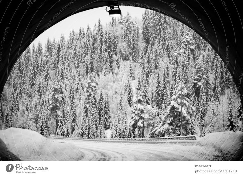 Am Ende des Tunnels Winter Schnee Landschaft Baum Berge u. Gebirge Natur Himmel weiß Abenddämmerung Frost Jahreszeiten blau gefroren schön Durchgang Norwegen