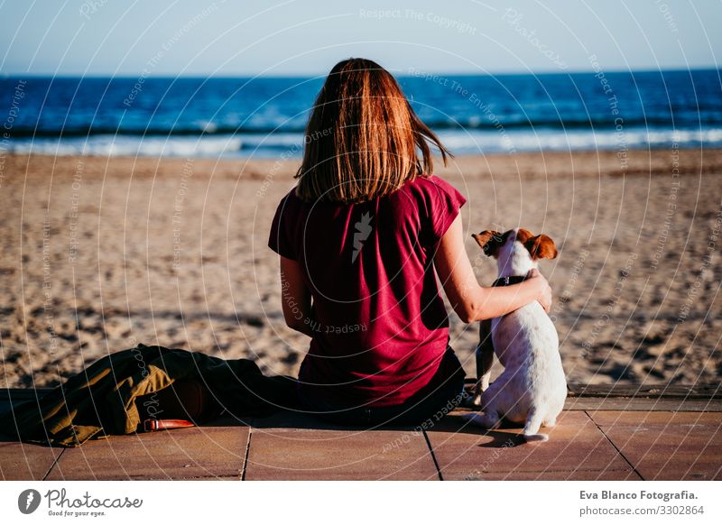 Frau und ihre süße, süße, am Strand sitzende Frau. Rückansicht Hund Jack-Russell-Terrier Liebe Sonnenuntergang Zusammensein weiß Freizeit & Hobby schön