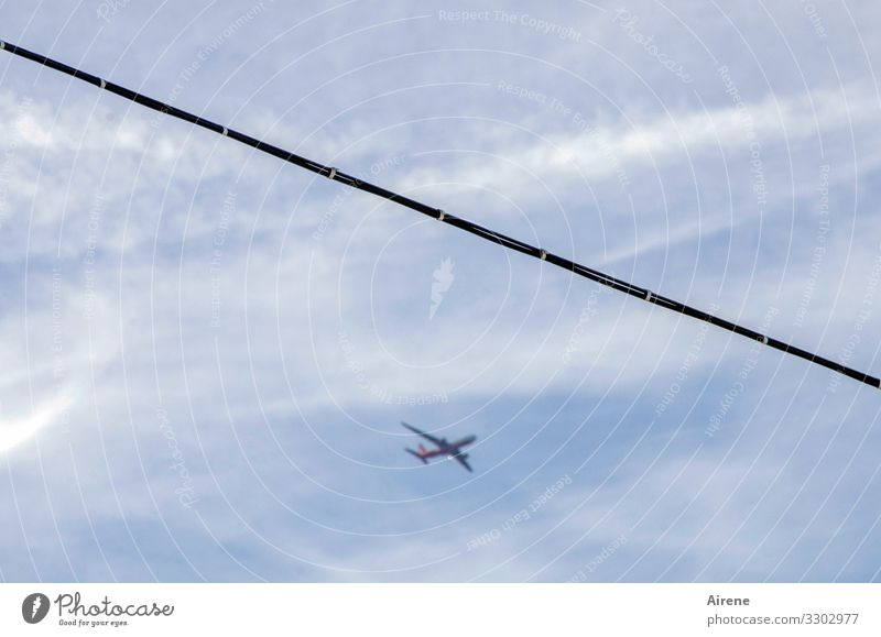 viel Betrieb am Himmel Wolken Schönes Wetter fliegen hängen blau weiß Luft luftig Luftverkehr Flugzeug Stahlkabel gespannt quer Seil Ferne Umweltsünder
