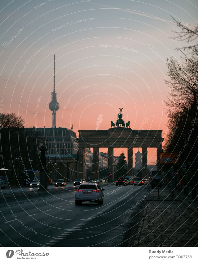 Brandenburger Tor im Morgenglanz, Berlin Himmel Wolkenloser Himmel Sonnenaufgang Sonnenuntergang Sonnenlicht Frühling Winter Schönes Wetter Deutschland