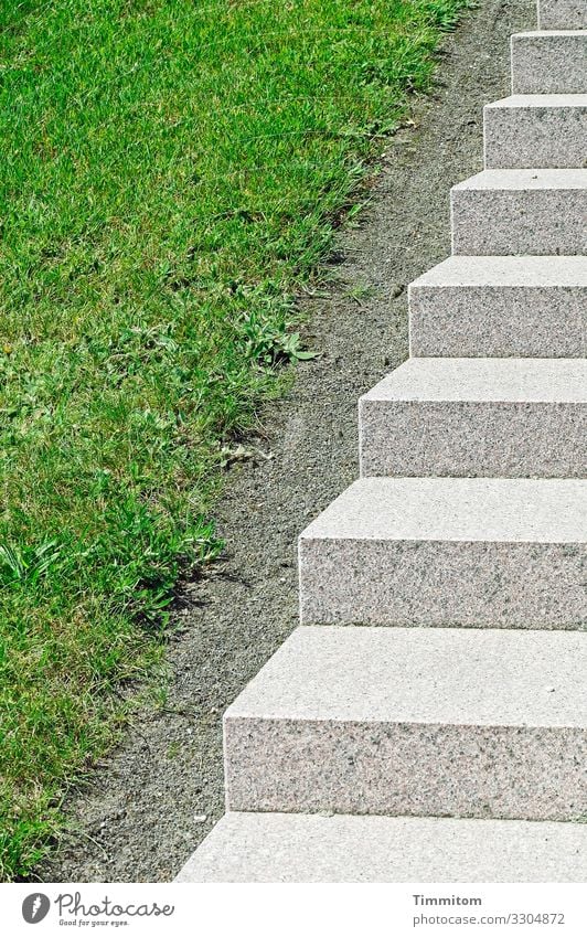 Aufstieg Umwelt Schönes Wetter Gras Park Dänemark Stein ästhetisch Sauberkeit grau grün weiß Gefühle Ordnungsliebe Zugang Treppe Treppenstufen Farbfoto