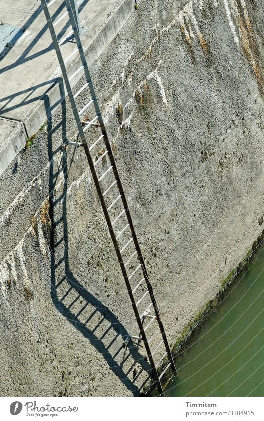 Zugang Heidelberg Binnenschifffahrt Kanal Staustufe Leiter Leitersprosse Metall hoch grau grün schwarz Gefühle anstrengen Neckar Farbfoto Außenaufnahme