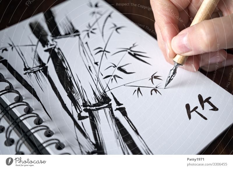 Detailaufnahme ener Hand, die mit einer Zeichenfeder eine Tuschezeichnung eines Bambus in einem Skizzenbuch anfertigt 1 Mensch Kunst Künstler Maler Zeichnung