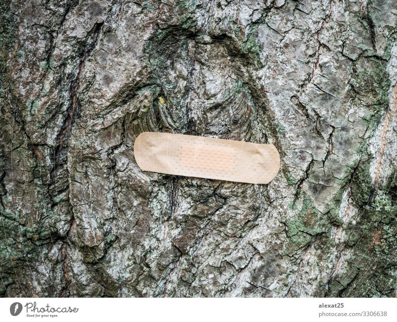 Pflaster am Baum - Konzept zur Heilung der Natur Gesundheitswesen Krankheit Medikament Band Umwelt Erde Globus natürlich grün Schutz Klebstoff Unterstützung