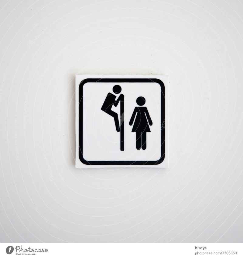 sexistisches Schild an einer Damentoilette Toilette maskulin übergriffig feminin Frau Sexismus Erwachsene intimsphäre Mann Körper Voyeurismus Mensch Tür Spanner
