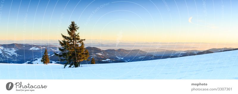 Abendstimmung am winterlichen Gipfel des Belchen, Sonnenuntergang, Blick Richtung Süden Berg Himmel Landschaft Natur abend abendhimmel abendlicht abendstimmung