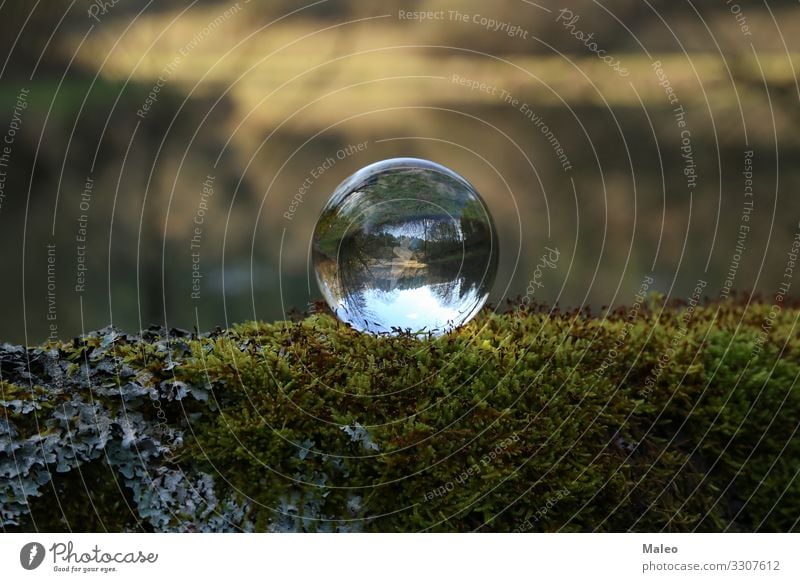 Natur durch eine transparente Glaskugel Ball schön blau Wald See Reflexion & Spiegelung Himmel Kugel durchsichtig Transparente abstrakt Hintergrundbild kalt