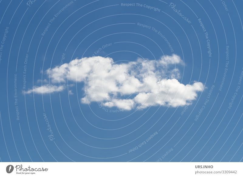 eine weiße Wolke vor blauem Himmel Urelemente Luft nur Himmel Wolken Klima Wetter Schönes Wetter Bewegung authentisch Sehnsucht Fernweh Einsamkeit