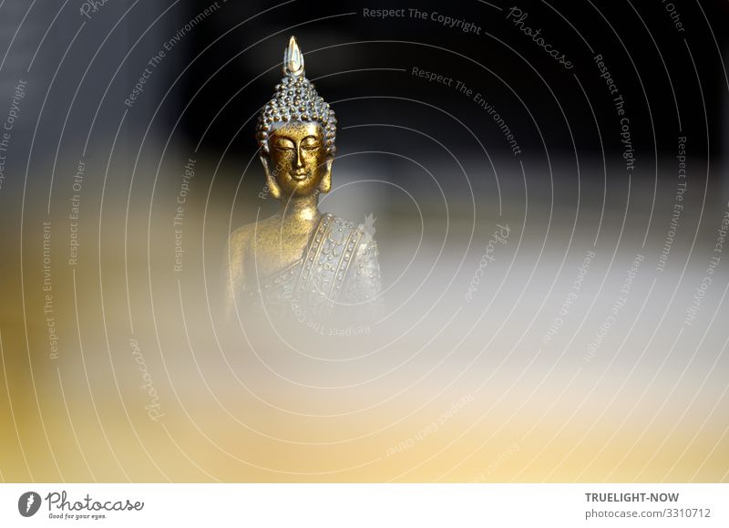 Aus der Dunkelheit und verschleierten Tiefe des Bewusstseins erhebt sich eine vergoldete Skulptur mit dem bekannt freundlich lächelnden Gesicht des Buddha