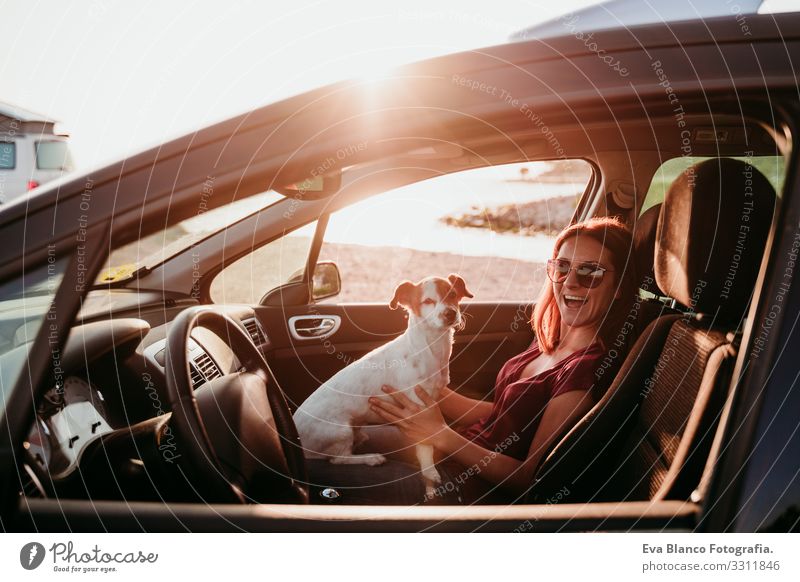 glückliche junge frau und ihr süßer jack russell hund im auto bei sonnenuntergang. reisekonzept Frau Hund PKW Sonnenuntergang Liebe Zusammensein