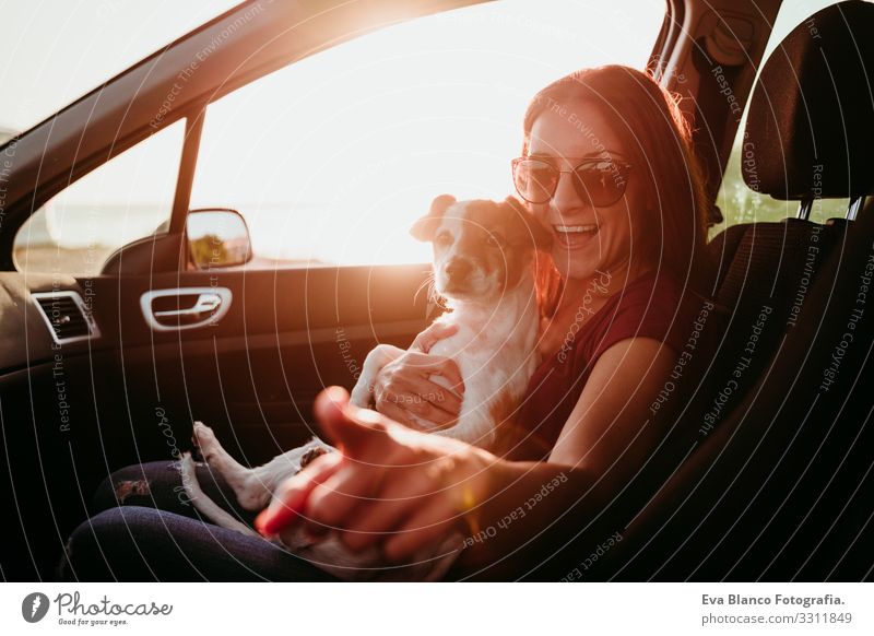 glückliche junge frau und ihr süßer jack russell hund im auto bei sonnenuntergang. reisekonzept Frau Hund PKW Sonnenuntergang Liebe Zusammensein