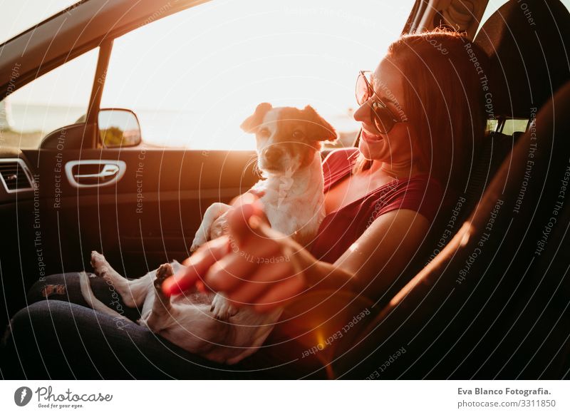 junge frau und ihr süßer jack russell hund im auto bei sonnenuntergang. reisekonzept Frau Hund PKW Sonnenuntergang Liebe Zusammensein Jack-Russell-Terrier