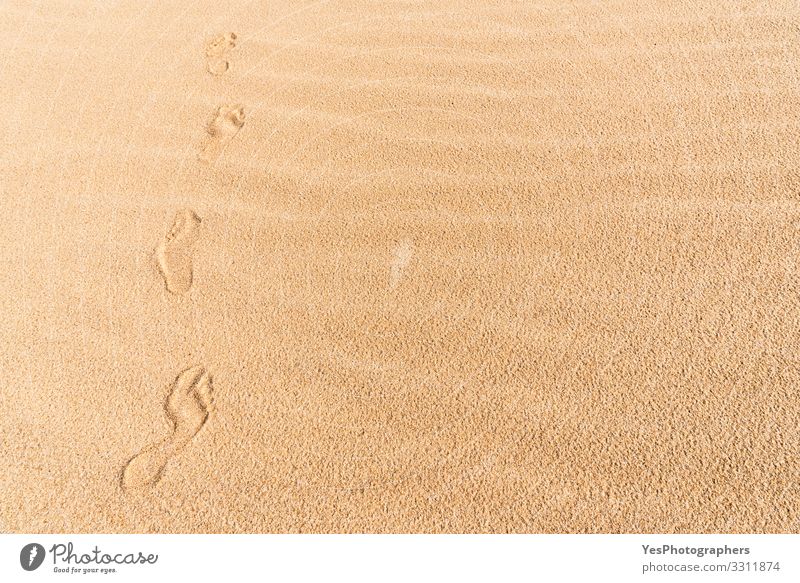 Fußabdrücke auf Sand. Spaziergang am Strand. Wandern in der Wüste Erholung Ferien & Urlaub & Reisen Ausflug Freiheit Sommer wandern Natur Klimawandel