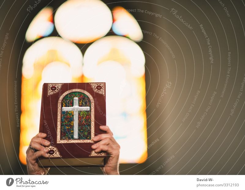 Hände halten ein Gottesbuch in die Höhe und im Hintergrund scheint Licht durch das Kirchenfenster Gotteslob Bibel Testament Religion & Glaube Buch Gebet Götter
