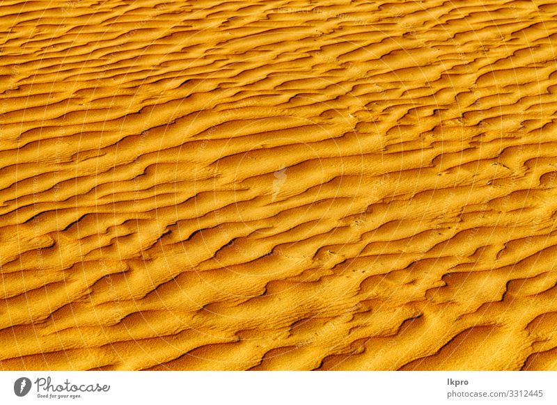 im oman die alte wüste und das leere viertel abstrakt Design Sommer Strand Meer Umwelt Natur Erde Sand Klima Wetter Dürre Küste heiß braun gelb grau schwarz