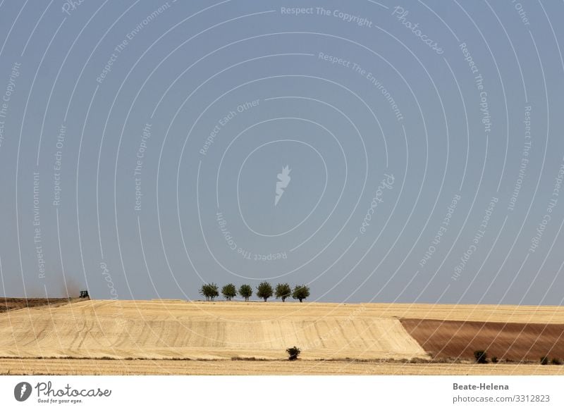 Erntezeit 3 Ertezeit Felder abgemäht geerntet Landschaft Natur Landwirtschaft Ackerbau Wachstum Bäume Traktor