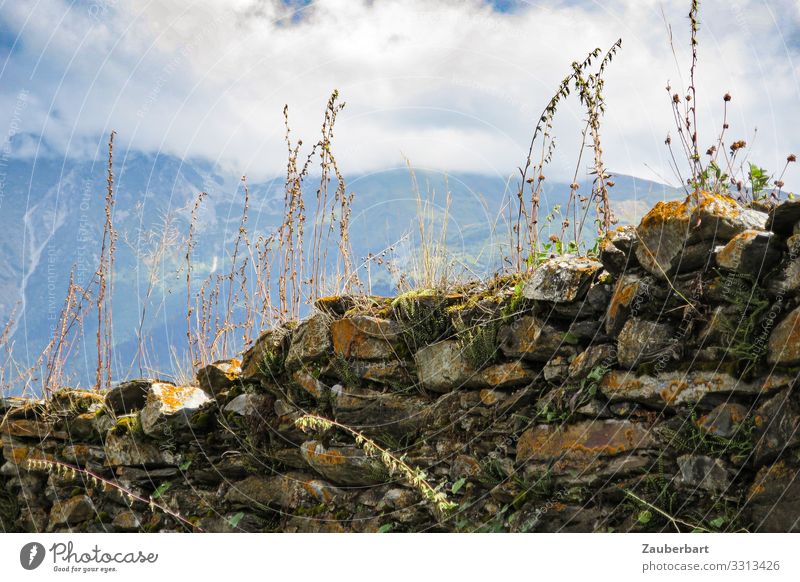 Bewachsene Steinmauer in den Bergen Ferien & Urlaub & Reisen Sommer Berge u. Gebirge wandern Natur Landschaft Wolken Pflanze Sträucher Kaukasus Swanetien
