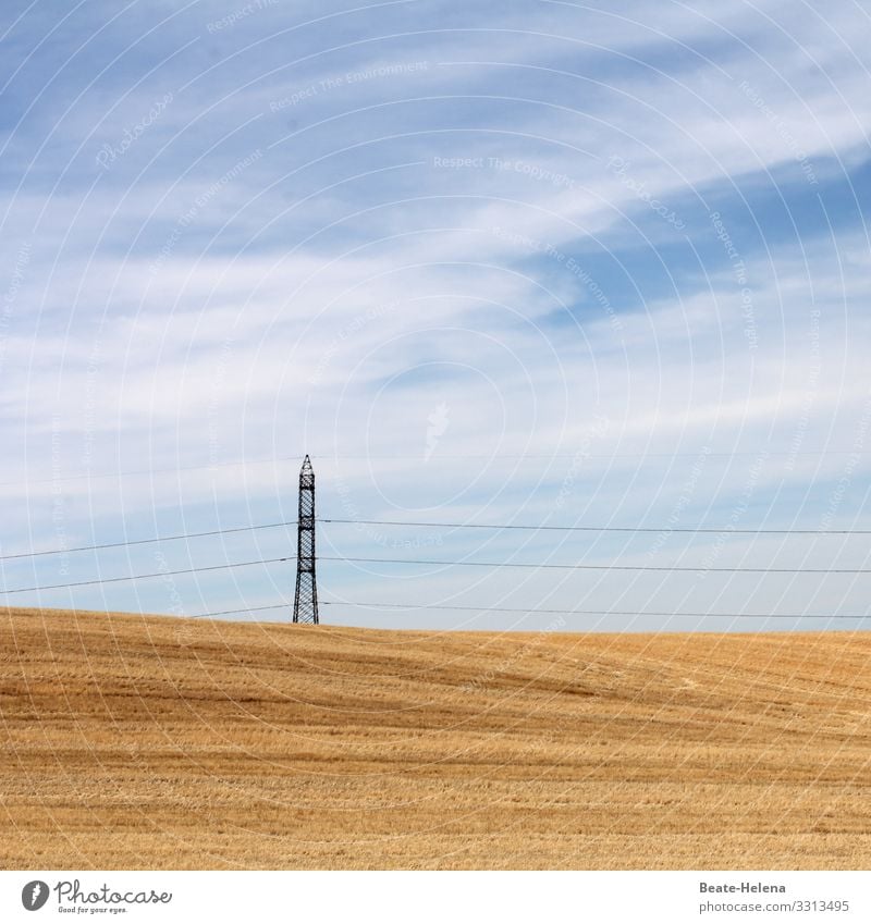 Erntezeit 2 Feld abgemäht Landwirtschaft Getreidefeld Außenaufnahme Ernährung Nutzpflanze Ackerbau Stromleitung himmelblau Himmel