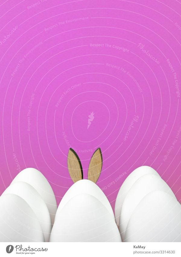 Versteckt Design Dekoration & Verzierung Feste & Feiern Ostern Frühling Hase & Kaninchen Hasenohren Ohr lustig niedlich rosa weiß Einsamkeit Tradition