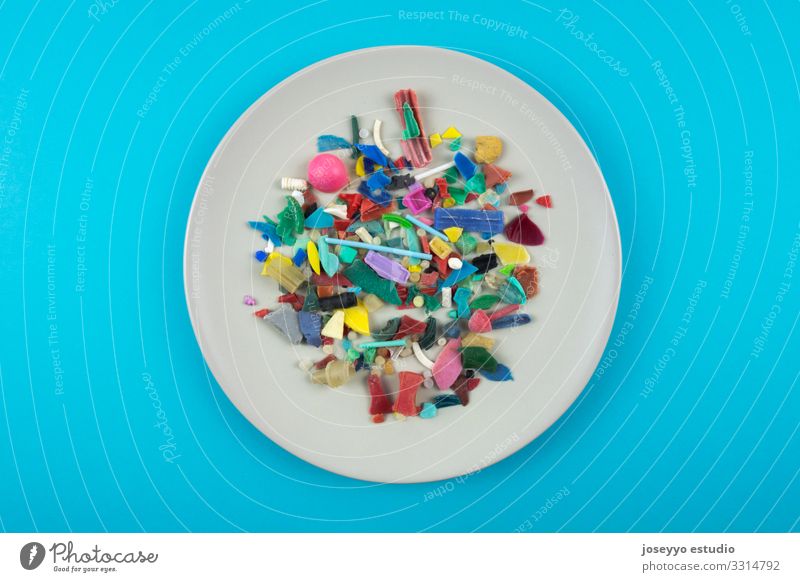 Platte voller Mikroplastiken. Konzept der Kunststoffverschmutzung. Meer Aktivisten Erkenntnis Nahaufnahme Küste Schaden Zerstörung dreckig Erde Umwelt
