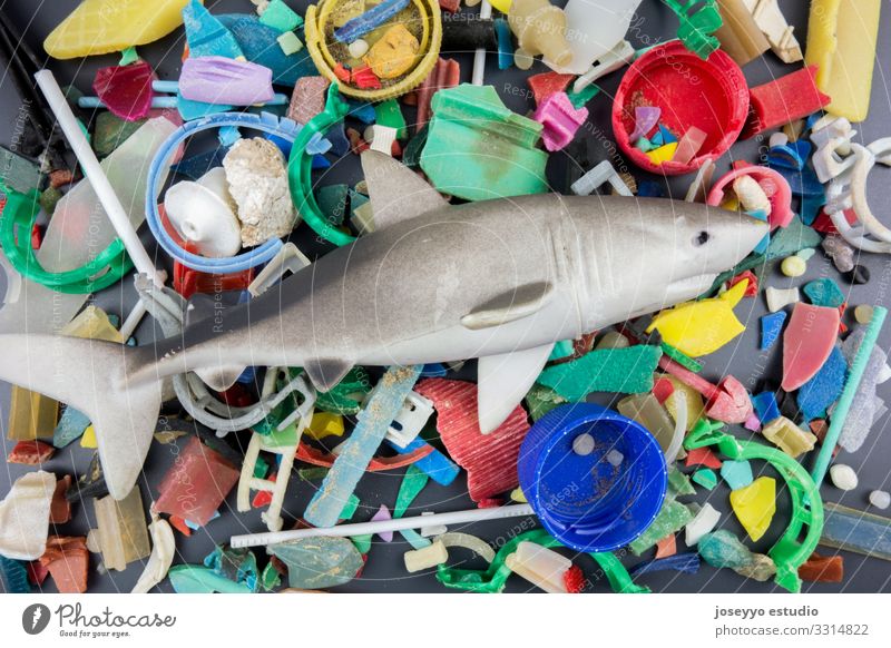 Spielzeughai über am Strand gesammeltem Mikroplastik. Meer Erkenntnis Reinigen Küste Schaden Zerstörung dreckig Erde Umwelt Fisch Bruchstück frei Müll