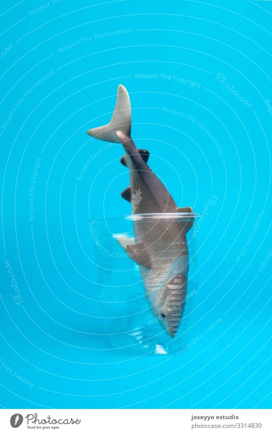 Spielzeughai in einem Plastikbecher auf blauem Hintergrund. Strand Meer Tier aquatisch Erkenntnis Flasche Küste Umweltverschmutzung Schaden Erde ökologisch